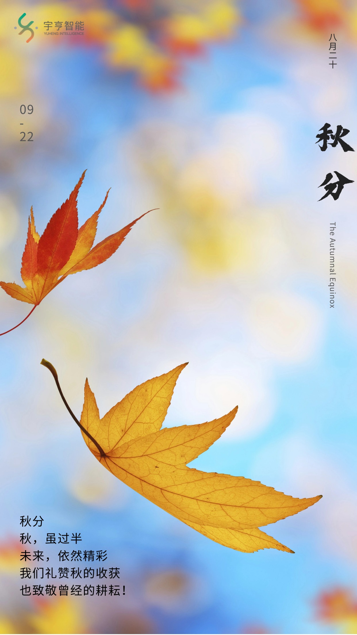 通用秋分節(jié)氣祝福實(shí)景手機(jī)海報(bào)(1) (1).jpg